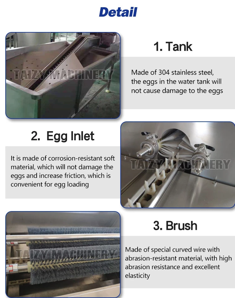 Stainless Steel Poultry Egg Washer Cleaner Hen Egg Cleaning Machine Chicken Egg Washing Machine