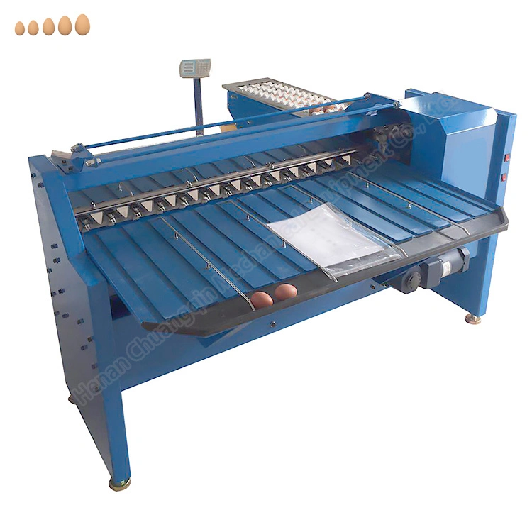 Egg Weight Grading Machine Sorting Egg Machine Eggs Grader Sorted Machine Machine to Sort Eggs Egg Sorting Machine Grader