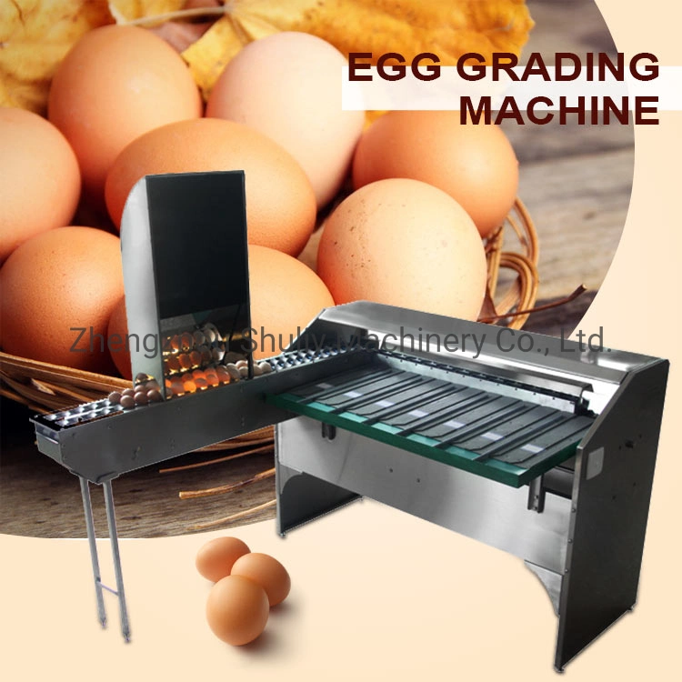 High Capacity Factory Price Egg Washing and Grading Machine Egg Scale Egg Grader