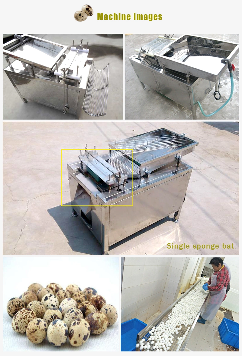 Factory Supply Quail Egg Peeling Machine Quail Egg Peeler Quail Egg Shelling Machine