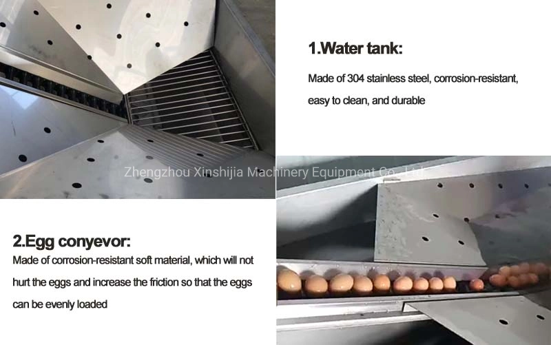 Industrial Large Capacity Brush Type Chicken Duck Goose Egg Washing Cleaning Grading Processing Line Machine