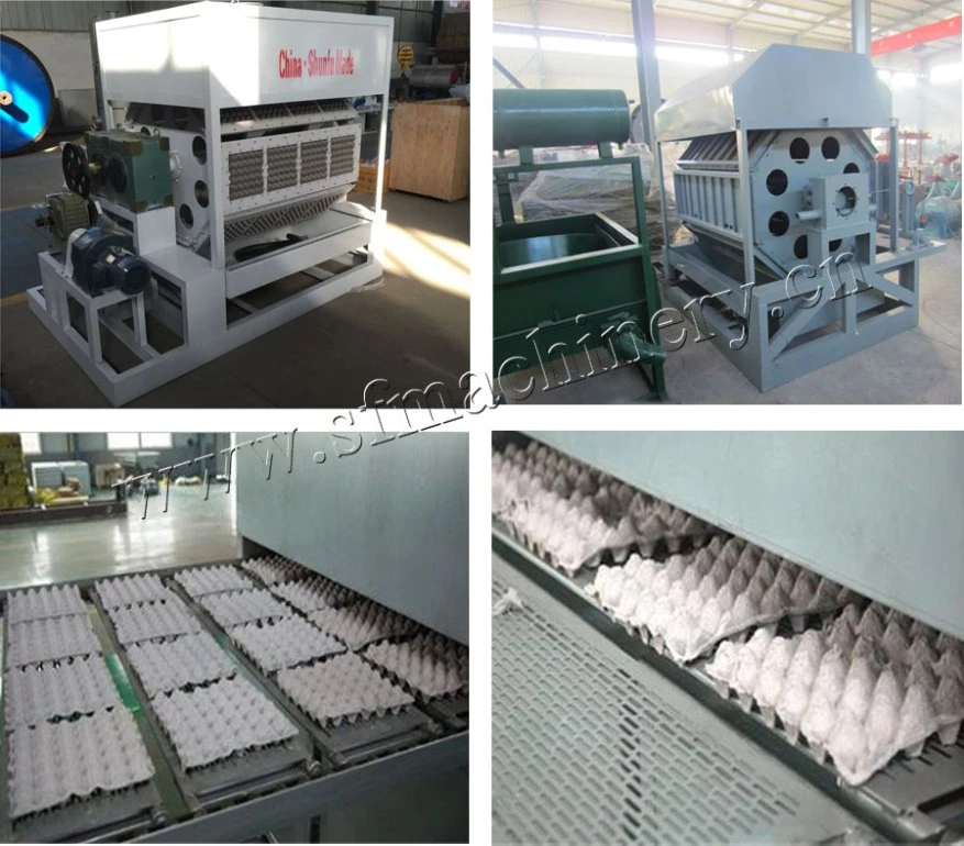 New Techincal Egg Grading Machine Egg Package Machinery