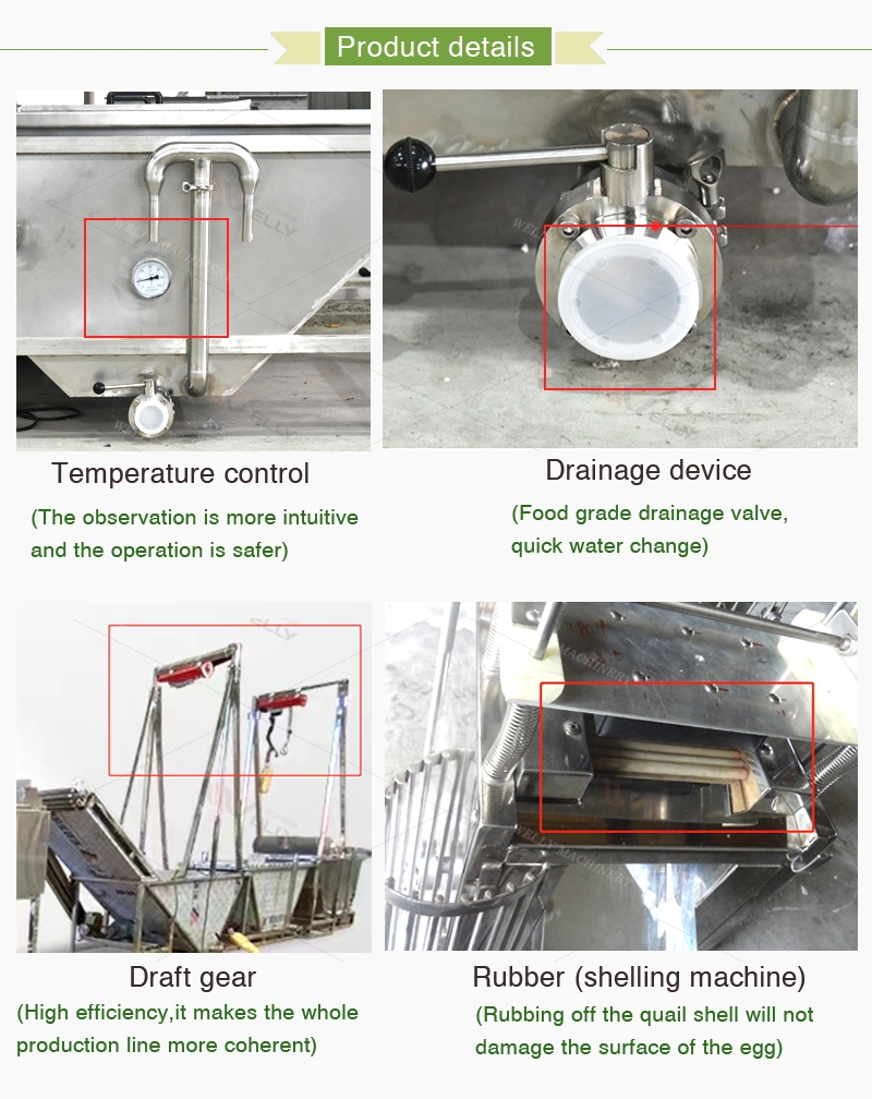 Large Scale Quail Egg Processing Line Boiled Quail Egg Peeler Line Quail Egg Boiling and Peeling Line