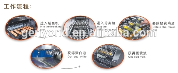 Egg Powder Small Production Machinery