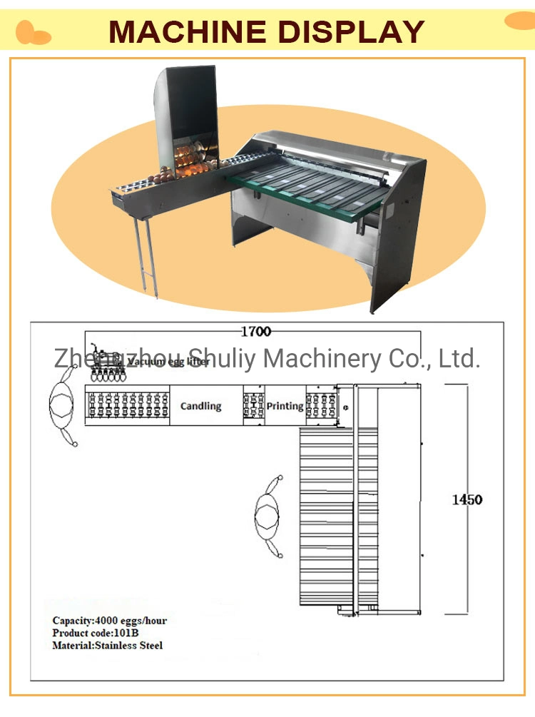 Egg Grading Sortingmachine Egg Grader with High Efficiency in Stock