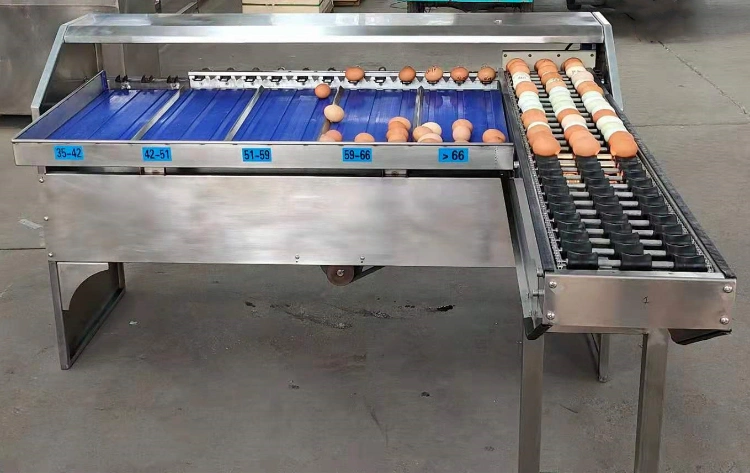 Automatic Egg Sorting Grading Machinery Chicken Egg Sorting Sorter Grader Weighing Machine